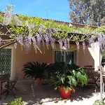Angelina Garden