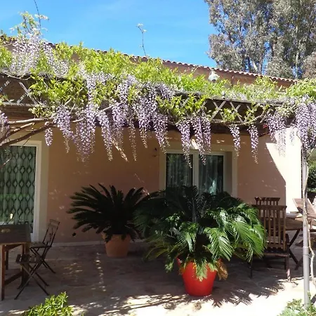 Angelina Garden