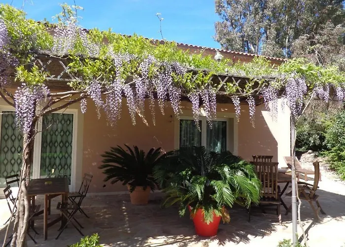 Angelina Garden